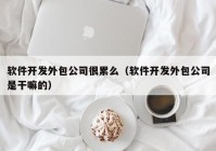 軟件開發(fā)外包公司很累么（軟件開發(fā)外包公司是干嘛的）