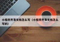 小程序開發(fā)文檔怎么寫（小程序開發(fā)文檔怎么寫的）