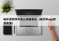 哈爾濱軟件開發(fā)公司哪家好（哈爾濱app軟件開發(fā)）