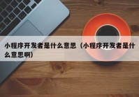 小程序開發(fā)者是什么意思（小程序開發(fā)者是什么意思?。? /></a>
		</div>
		<div   id=