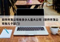 軟件開發(fā)公司有多少人是大公司（軟件開發(fā)公司有幾個(gè)部門）