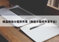 精品微信小程序開發(fā)（微信小程序開發(fā)平臺）