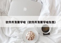 軟件開發(fā)要學啥（軟件開發(fā)要學啥東西）