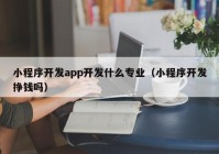 小程序開發(fā)app開發(fā)什么專業(yè)（小程序開發(fā)掙錢嗎）