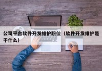 公司平臺軟件開發(fā)維護職位（軟件開發(fā)維護是干什么）