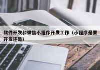 軟件開發(fā)和微信小程序開發(fā)工作（小程序是要開發(fā)還是）