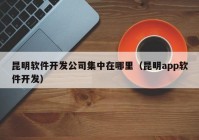 昆明軟件開發(fā)公司集中在哪里（昆明app軟件開發(fā)）