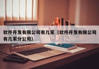 軟件開發(fā)有限公司有幾家（軟件開發(fā)有限公司有幾家分公司）