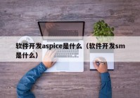 軟件開(kāi)發(fā)aspice是什么（軟件開(kāi)發(fā)sm是什么）