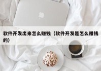 軟件開發(fā)出來(lái)怎么賺錢（軟件開發(fā)是怎么賺錢的）