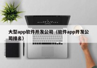 大型app軟件開(kāi)發(fā)公司（軟件app開(kāi)發(fā)公司排名）