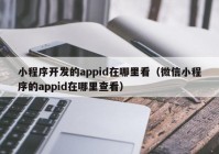 小程序開發(fā)的appid在哪里看（微信小程序的appid在哪里查看）