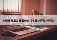 小程序開發(fā)工具是什么（小程序開發(fā)序開發(fā)）