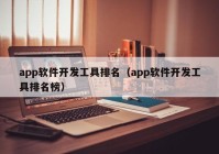 app軟件開發(fā)工具排名（app軟件開發(fā)工具排名榜）