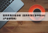 軟件開發(fā)行業(yè)分析（軟件開發(fā)行業(yè)分析2022產(chǎn)業(yè)研究院）